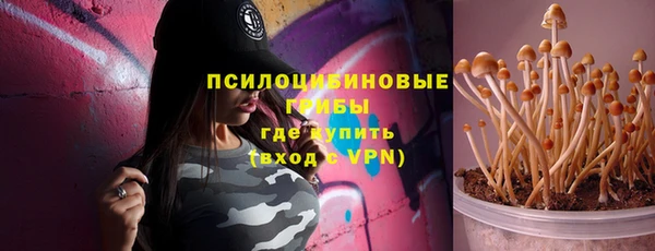 бутират Алексин