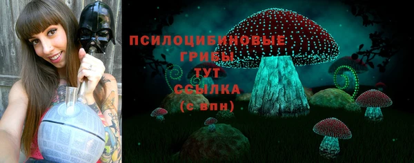 сатива Алексеевка