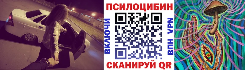Галлюциногенные грибы MAGIC MUSHROOMS  Андреаполь 